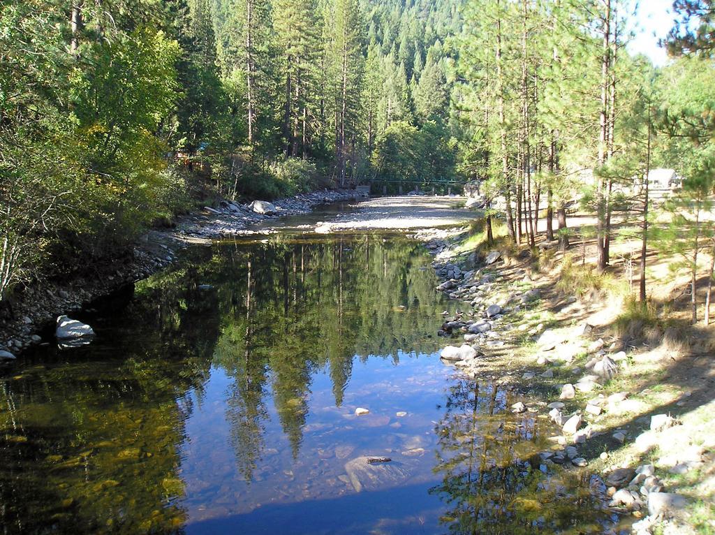 Yosemite Lakes Bunkhouse Cabin 27 Harden Flat Exterior photo